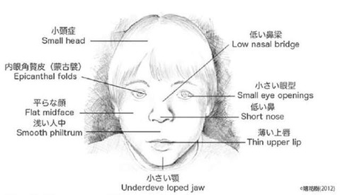 20260801-00000001-yonnana-000-6-view