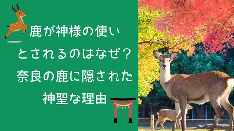 6b59d3f91187f5d5fc38690b9e6a0e4a