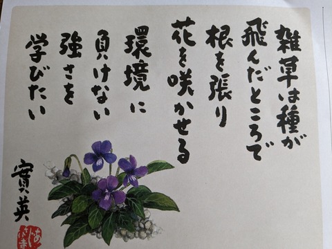 PXL_20240419_031255190