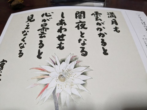 PXL_20231014_103807623.MP