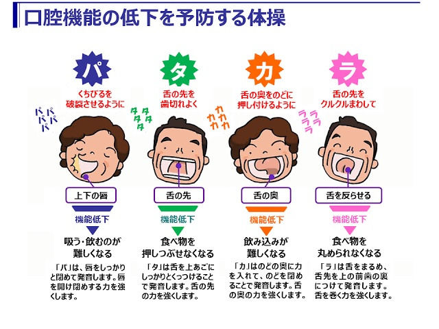 パタカラwelfare 矯正 マウスピース 口を閉じる力アップ トレーニング 舌 医療 介護 口呼吸 器具 グッズ 母の日 予防 舌の筋肉 パタカラ体操 プレゼント 口呼吸防止 いびき 口輪筋 対策 贈り物 鼻呼吸