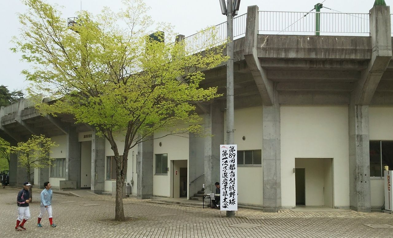 イメージ 16