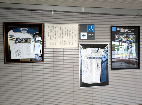 aPXL_20251010_231151270
