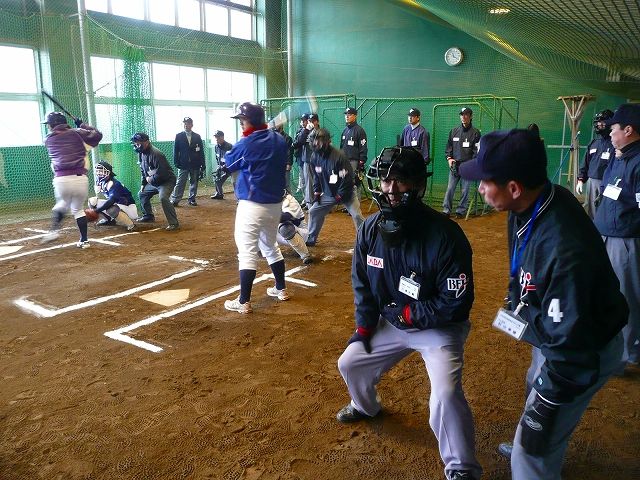 イメージ 5