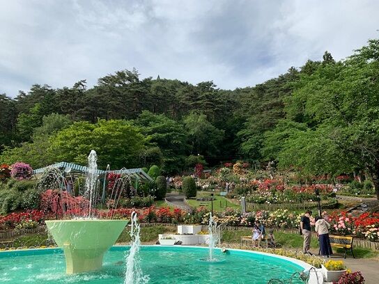 花巻温泉バラ園さんリベンジ成功の巻 みーはーリス母さんの岩手だより 花巻温泉バラ園さんリベンジ成功の巻 みーはーリス母さんの岩手だより