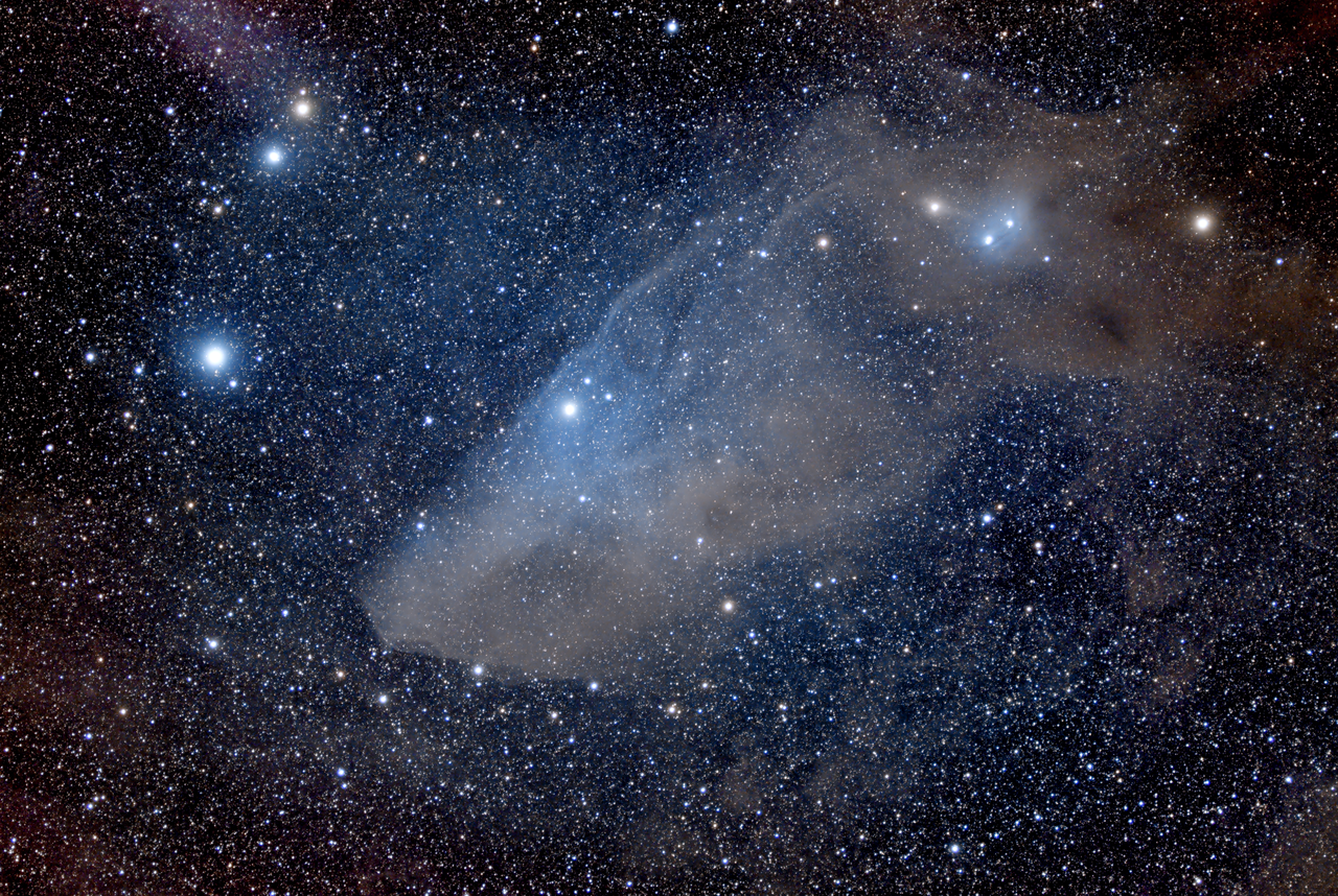 IC434_NGC2024:みんな大好き馬頭星雲！ | 頭上のお宝
