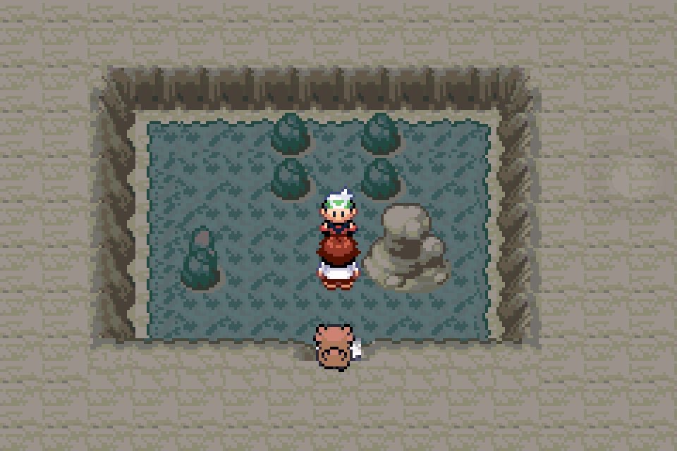 Pokemon Flora Skyプレイ記 しんがぶろぐをかくブログ Pokemon Flora Skyプレイ記 しんがぶろぐをかくブログ
