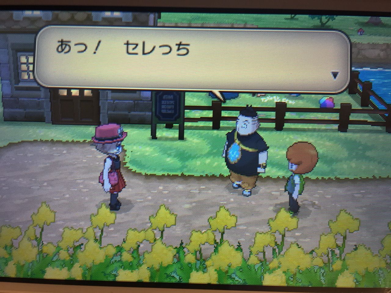 ポケモンx メス縛りプレイ日記act 4 Ixixsのお部屋 ポケモンx メス縛りプレイ日記act 4 Ixixsのお部屋