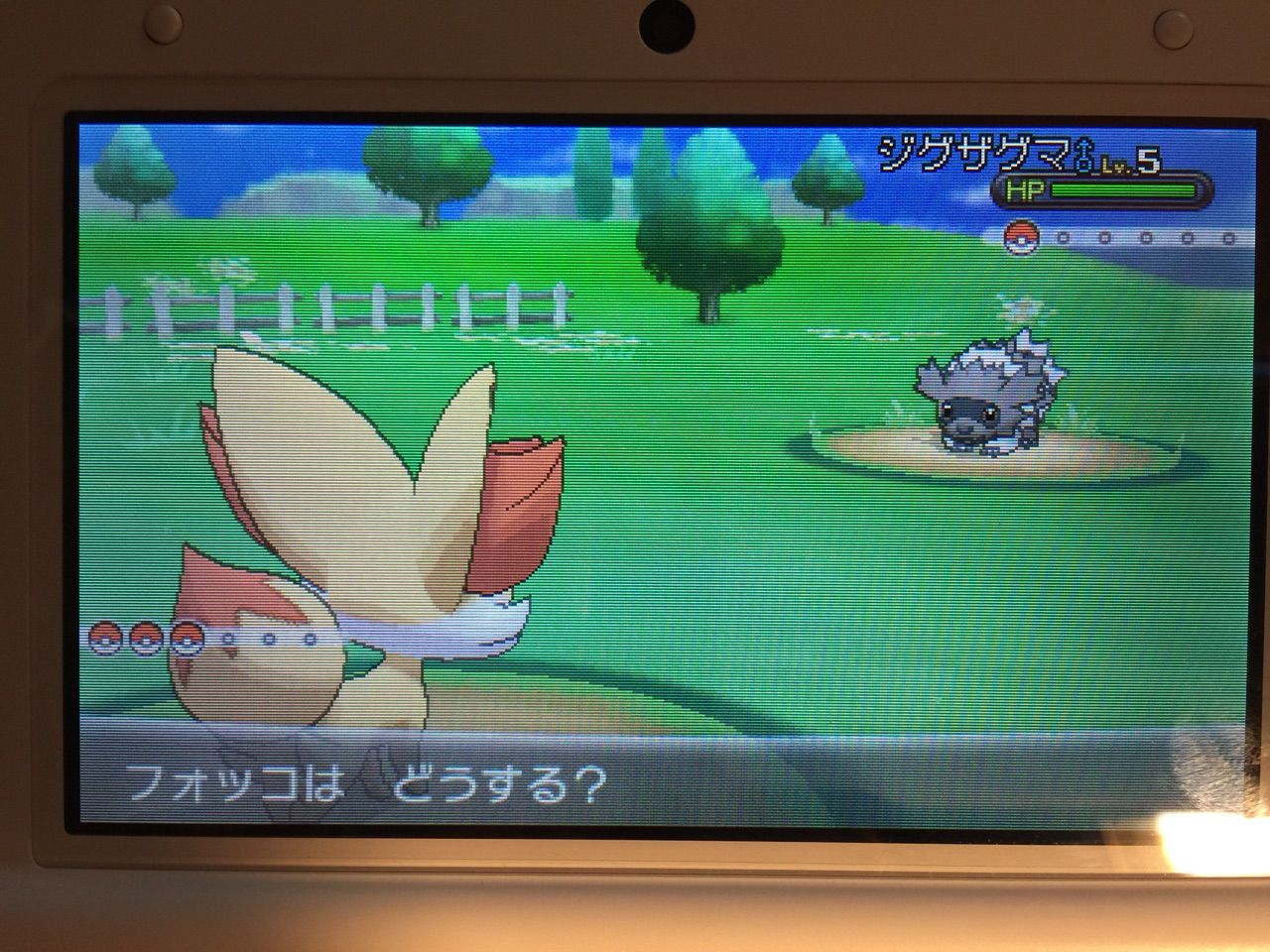 ポケモンx メス縛りプレイ日記 Ixixsのお部屋 ポケモンx メス縛りプレイ日記 Ixixsのお部屋