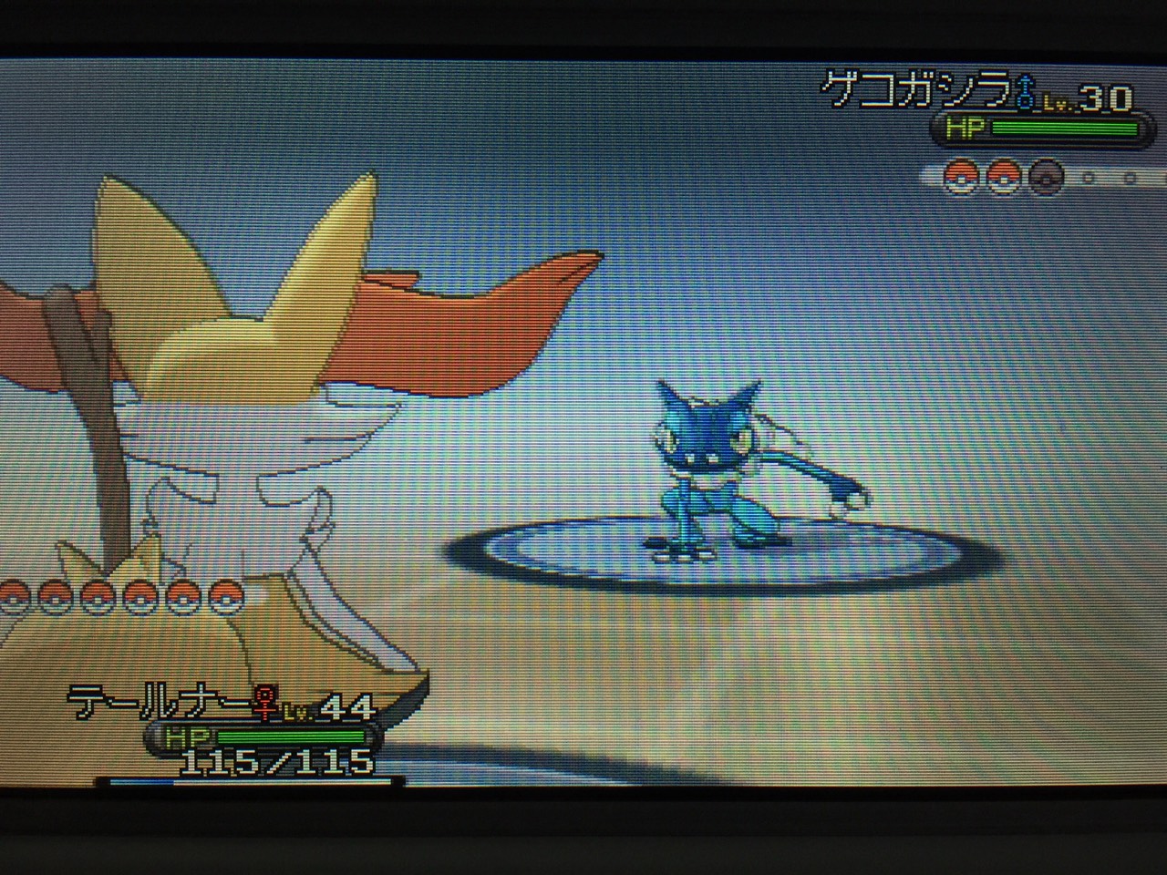 ポケモンｘ 使わなかった画像集１ Ixixsのお部屋