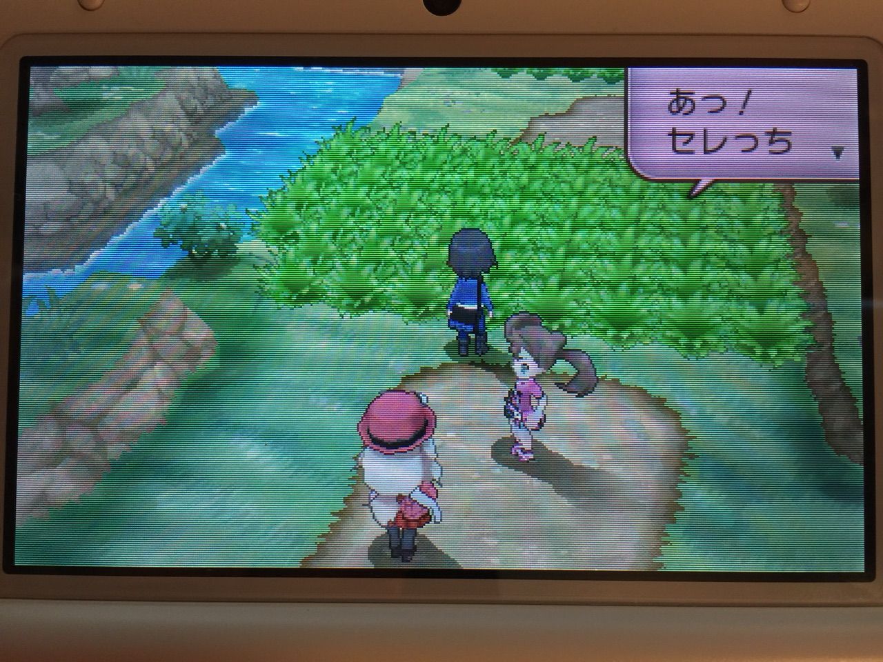 ポケモンx メス縛りプレイ日記 Ixixsのお部屋 ポケモンx メス縛りプレイ日記 Ixixsのお部屋