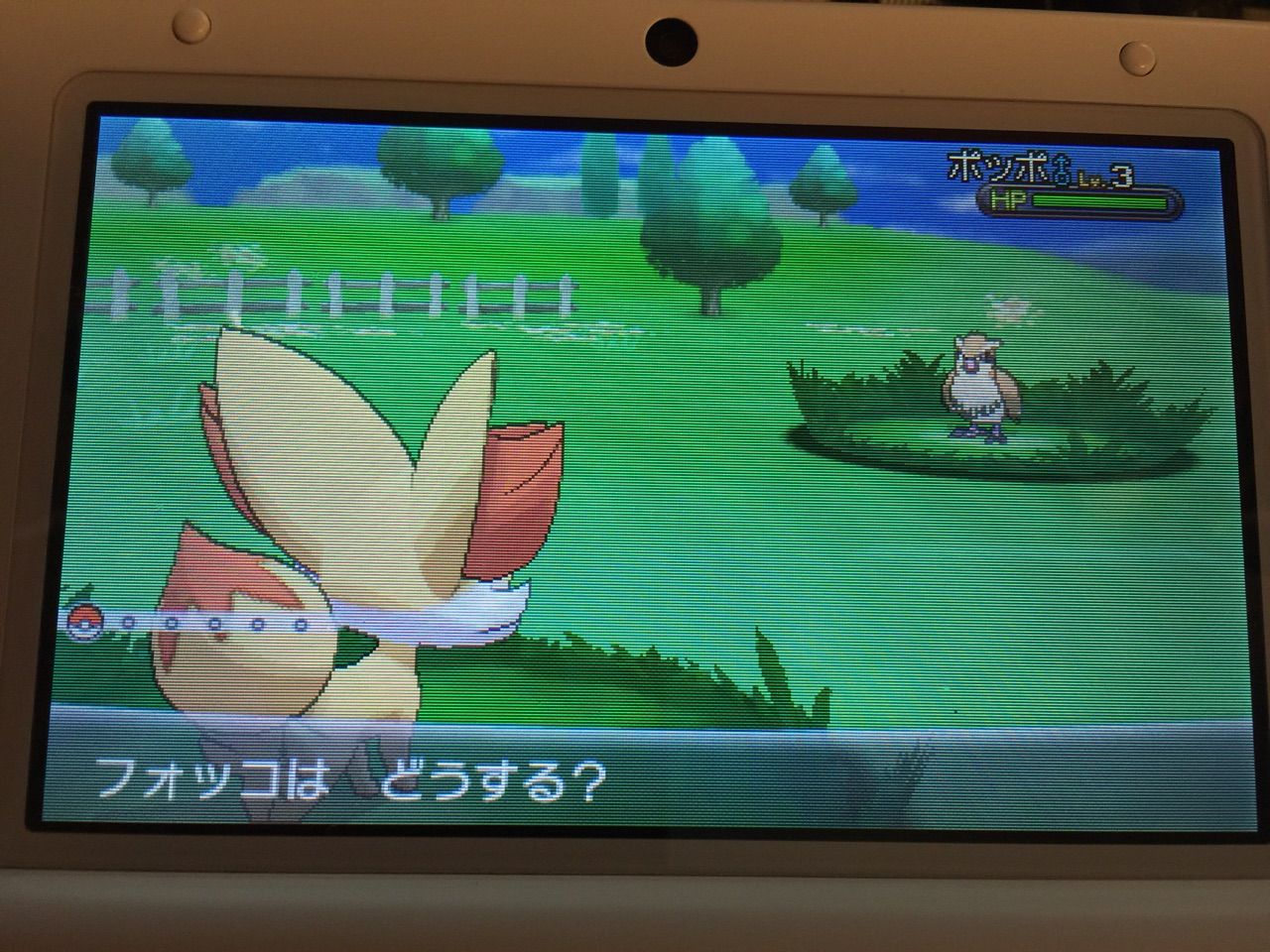 ポケモンx メス縛りプレイ日記 Ixixsのお部屋 ポケモンx メス縛りプレイ日記 Ixixsのお部屋