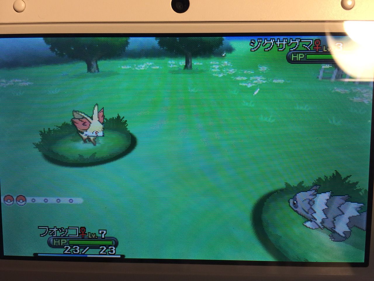 ポケモンx メス縛りプレイ日記 Ixixsのお部屋 ポケモンx メス縛りプレイ日記 Ixixsのお部屋