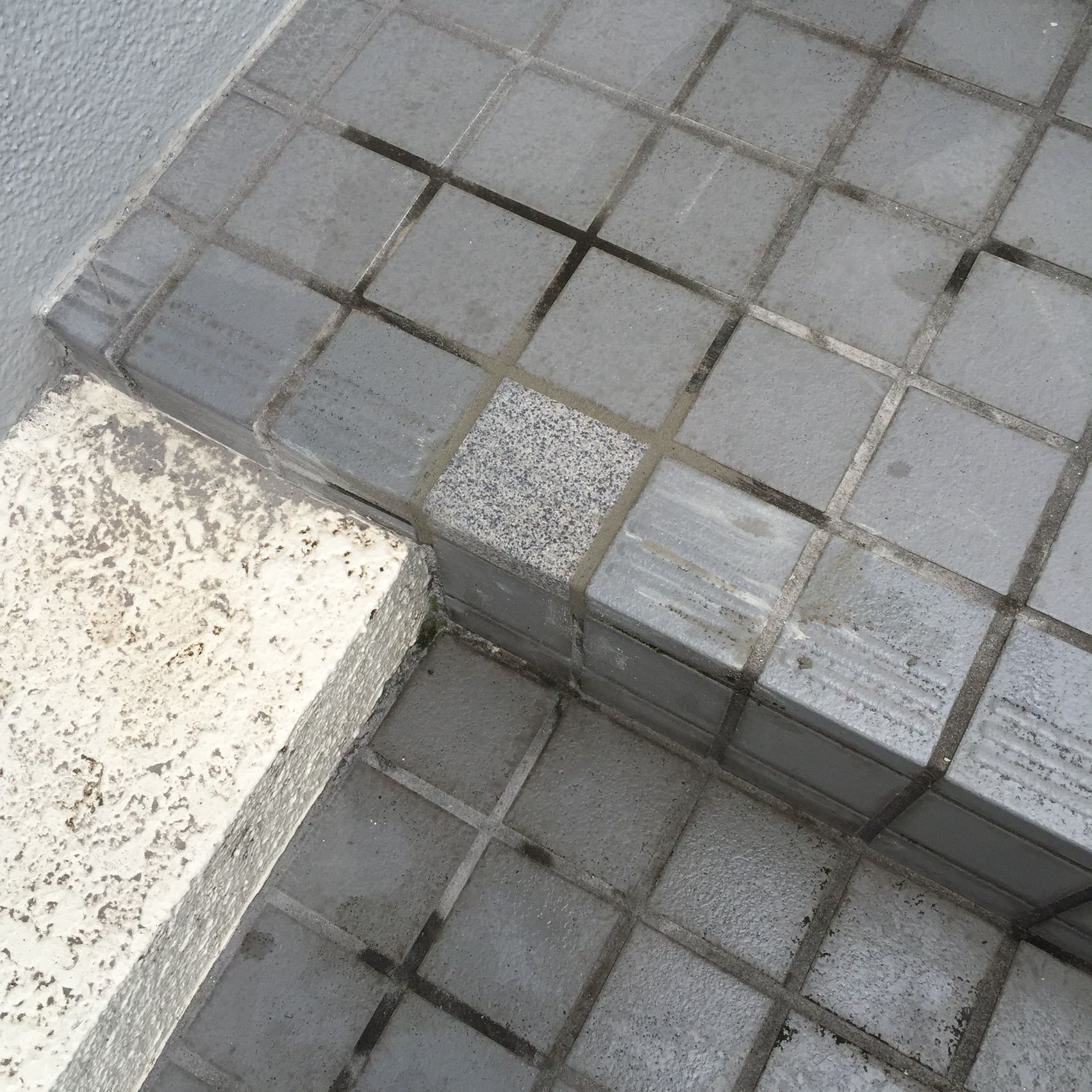 玄関ポーチのタイル補修で1枚交換しました リフォームブログ