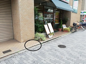 IMG_20191011_123208