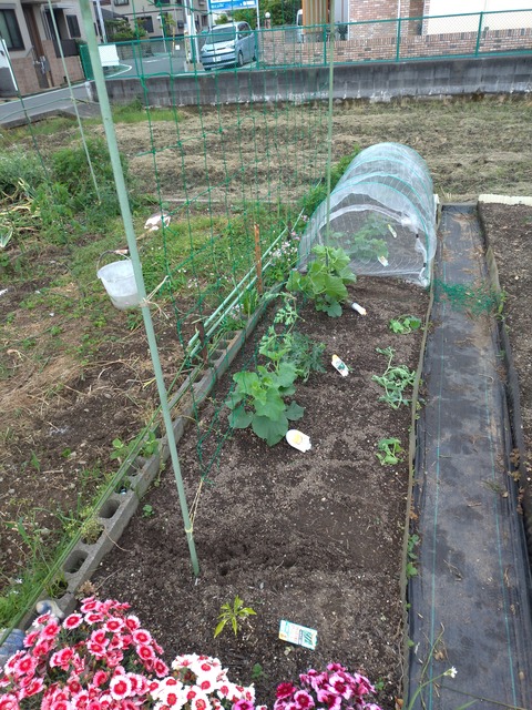 P_20200519_142255_1_BOK