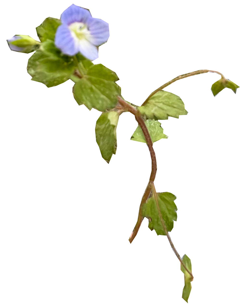 1_�������̥Υե���