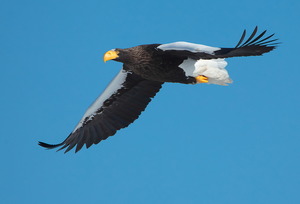 200227-0002