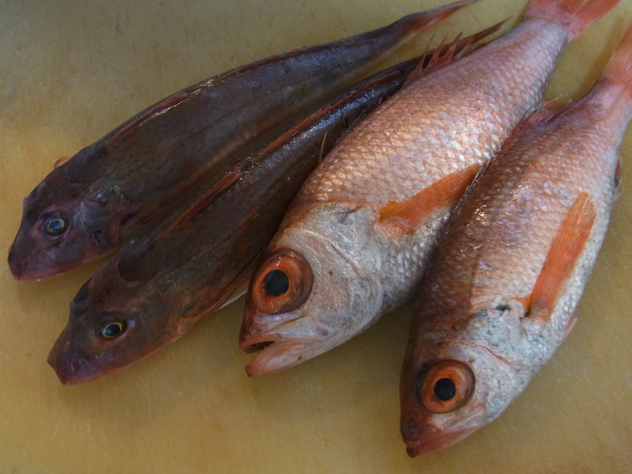 混み魚で きみよとのどくろ が 秋田市 居酒屋 西丸からのお知らせ 混み魚で きみよとのどくろ が 秋田市 居酒屋 西丸からのお知らせ