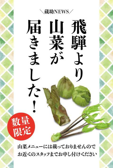 限定メニューPOP_山菜