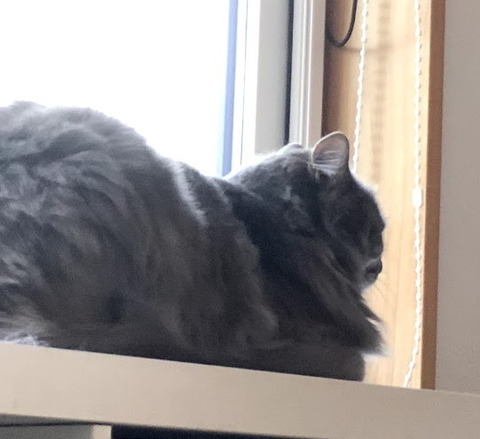 miwa