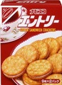 _SY300_[1]