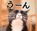 20150112234620a8b[1]