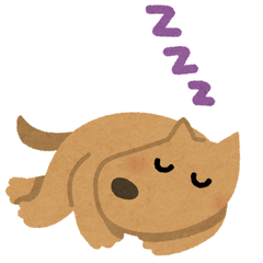 sleep_animal_dog