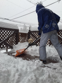 雪かき