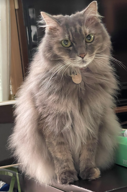 miwa