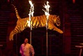 circus-tiger-fire[1]