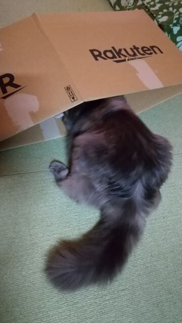 miwa