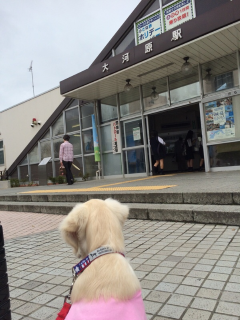 お見送り