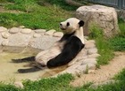 images (6)