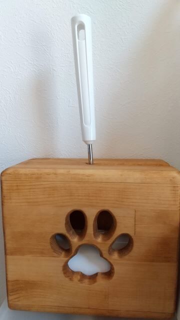 dog