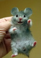 Funny-mouse[1]