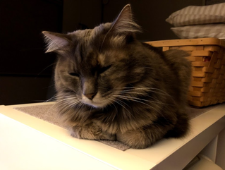 miwa