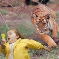 ダウンロード (8)