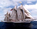 yacht1[1]