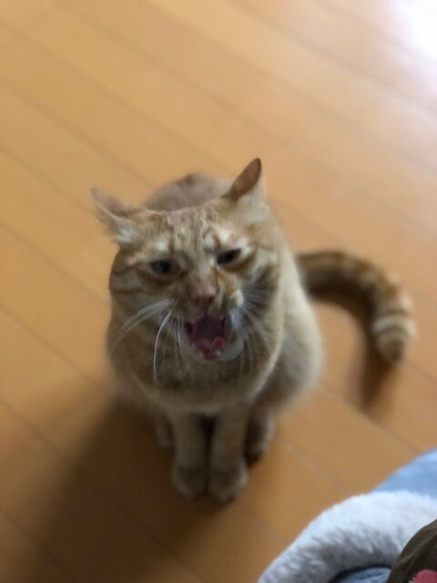 kin