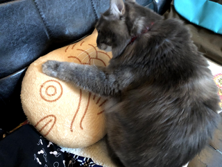 miwa