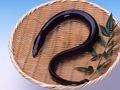 unagi[1]