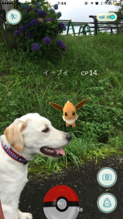 ライリー