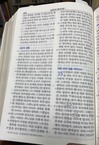 聖書共同翻訳2004 (2)