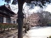 WP_000120