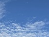 IMG_6162