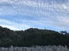 IMG_0001