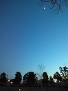 WP_001194