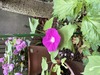 IMG_0855(1)