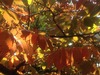 20151104